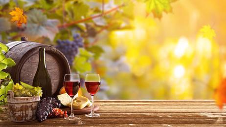 正しいオーガニックワインの知識を知っておこう！ビオワインとの違いは？美味しいの？